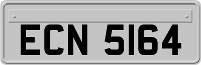 ECN5164