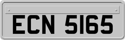 ECN5165