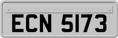 ECN5173