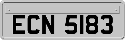 ECN5183