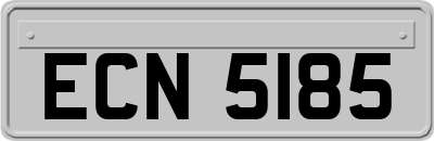 ECN5185