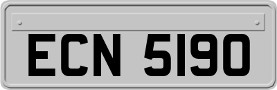 ECN5190
