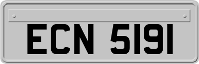 ECN5191