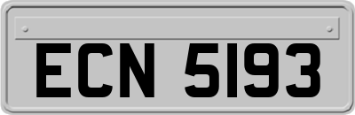 ECN5193