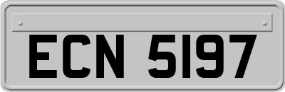 ECN5197