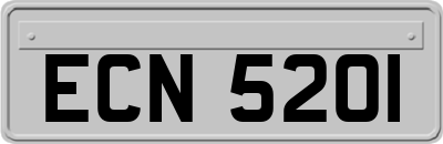 ECN5201