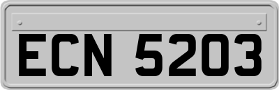 ECN5203