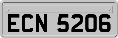ECN5206