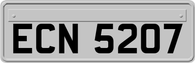 ECN5207