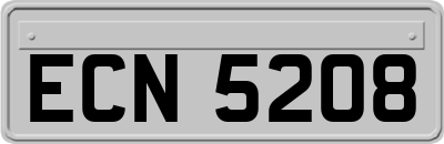 ECN5208