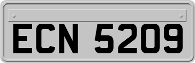 ECN5209