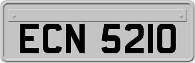 ECN5210