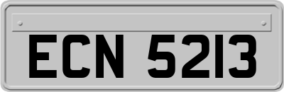 ECN5213
