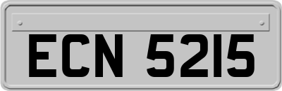 ECN5215