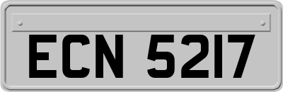 ECN5217