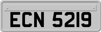 ECN5219