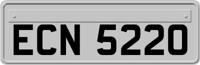 ECN5220