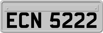 ECN5222