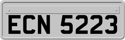 ECN5223