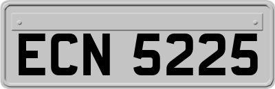 ECN5225