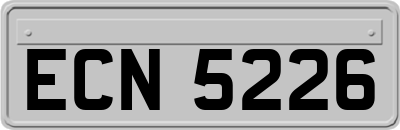 ECN5226