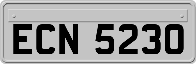 ECN5230