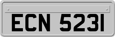 ECN5231