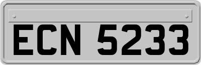 ECN5233