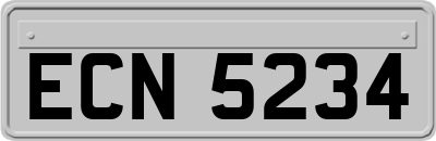 ECN5234