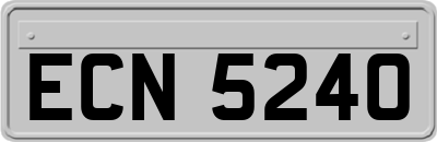 ECN5240