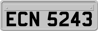 ECN5243