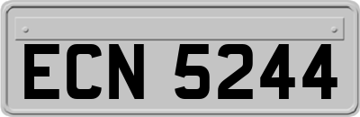 ECN5244