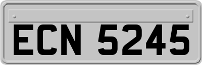 ECN5245