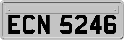 ECN5246