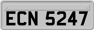 ECN5247