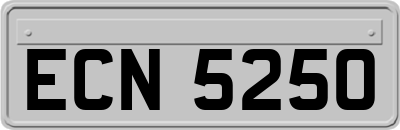 ECN5250