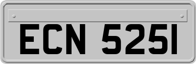 ECN5251