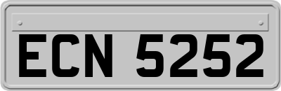 ECN5252