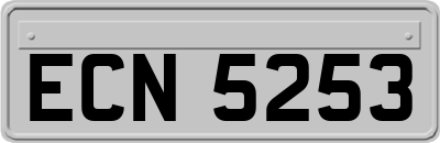 ECN5253