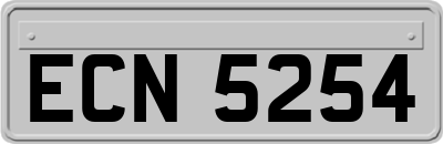 ECN5254