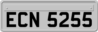 ECN5255