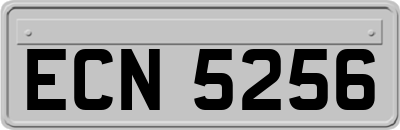 ECN5256
