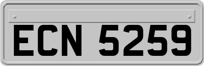 ECN5259