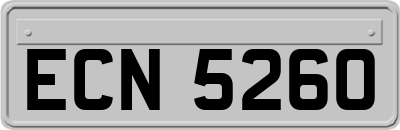 ECN5260