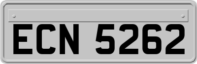 ECN5262