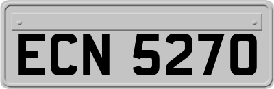 ECN5270