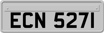 ECN5271