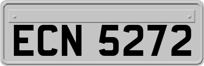 ECN5272