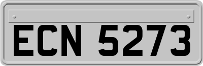 ECN5273