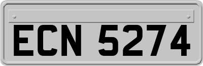 ECN5274